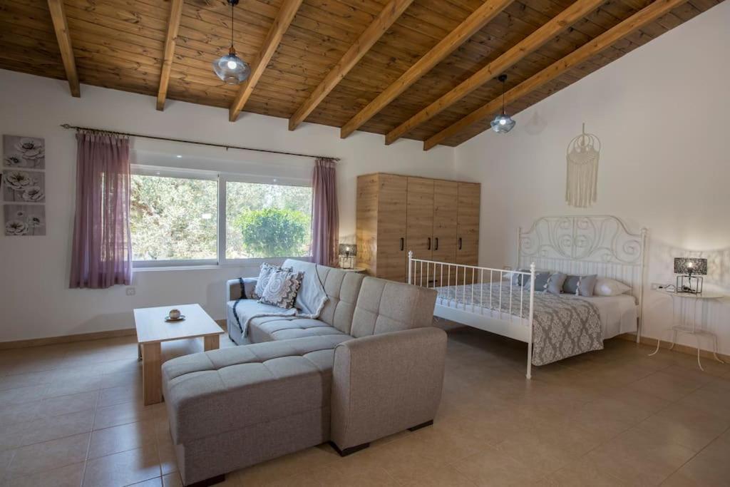 Serenity Studio Beach Home Afándu Kültér fotó
