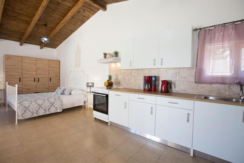 Serenity Studio Beach Home Afándu Kültér fotó