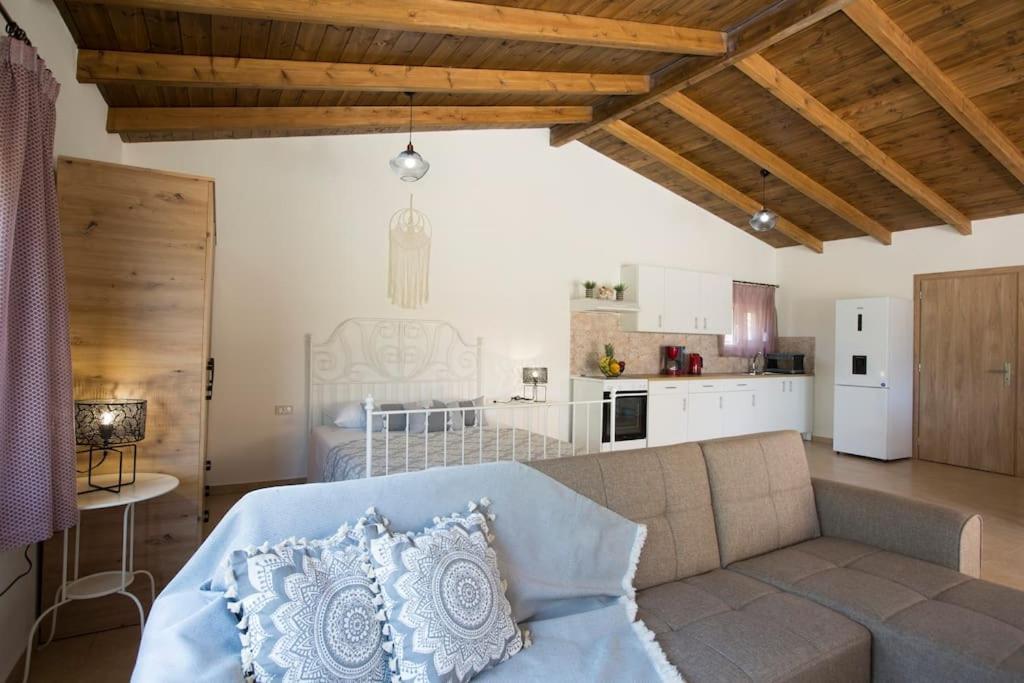 Serenity Studio Beach Home Afándu Kültér fotó